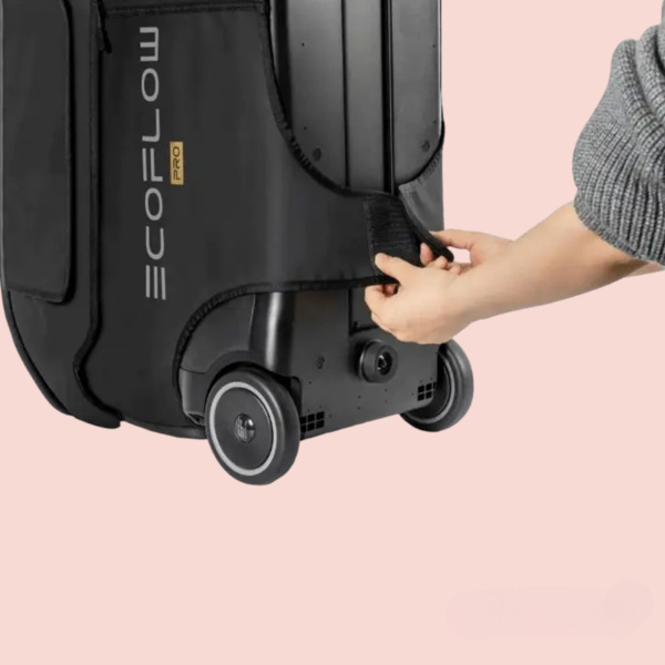 Сумка для переноски портативной электростанции EcoFlow Delta Pro / Защищает от воды, мусора и повреждений во время движения